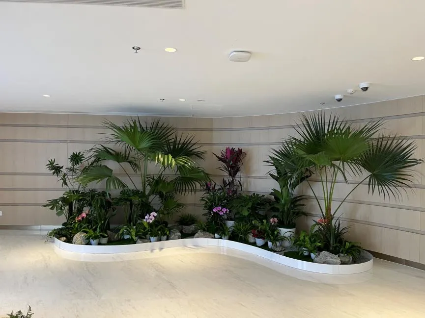 “快来体验宁波余姚花卉租赁，优质服务超诱人！验